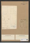 Cerataulus titianus Grun. (de-Toni-Nr.: Genus 173, Species 4438) Zeichnungen Sammlung Grunow Nr. 8012 (NHMW-BOT-W0377311)